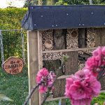 Bienen WG